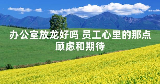 办公室放龙好吗 员工心里的那点顾虑和期待